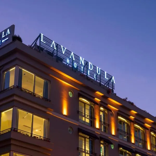 Levent Lavandula Hotel, отель в Стамбуле
