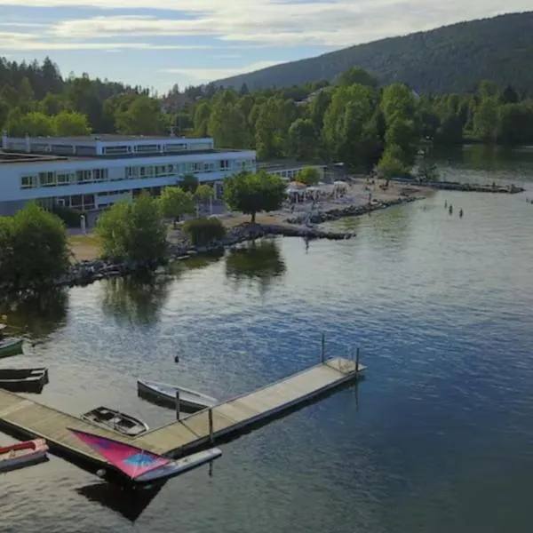 Appart'Hôtel LIDO au bord de l'eau, hotel in Gérardmer