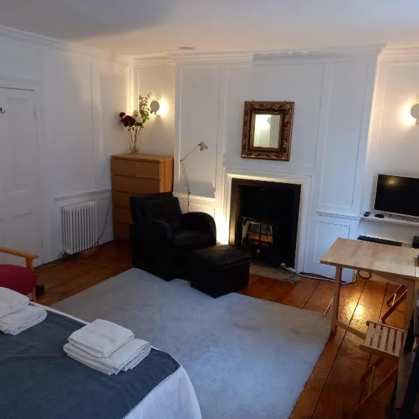 Large Bright Soho Studio flat with Large Terrace, hotel di London