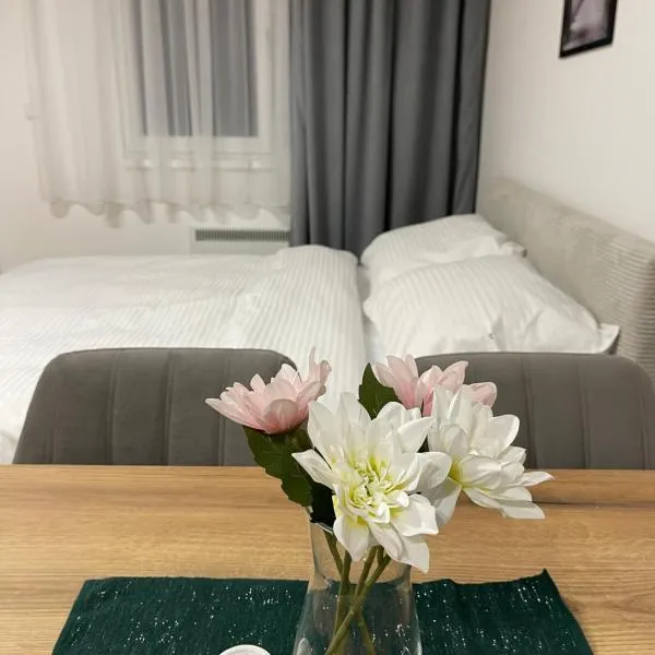 FlyInn Residence, hotel v Bělehradě