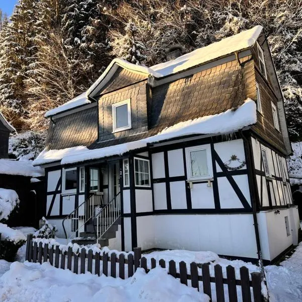 Waldtraum Lodge Winterberg für 10 Personen mit Garten und Grill, hotel di Winterberg