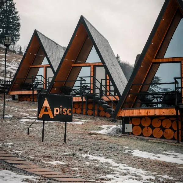 A Pisc, hotel in Vatra Moldoviţei