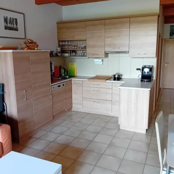Apartmán Lipno A12, hotel v destinaci Lipno nad Vltavou