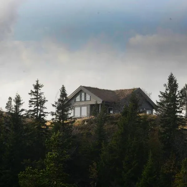 Falkeblikk-Mountain cabin with majestic views, hótel í Bø