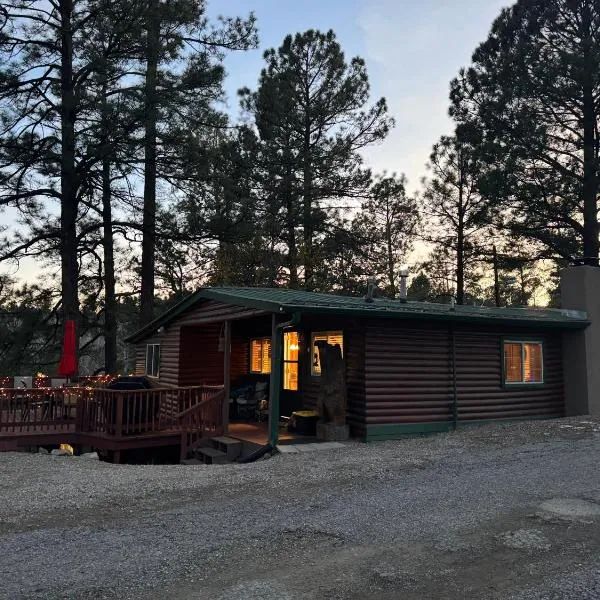 Gonzales Cozy Little Bear Cabin, hotel in Ruidoso