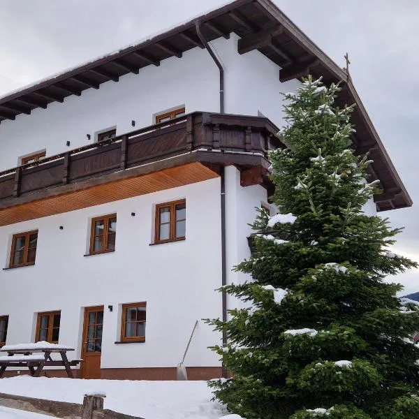 Nicky apartments and studios, hotel in Niederau