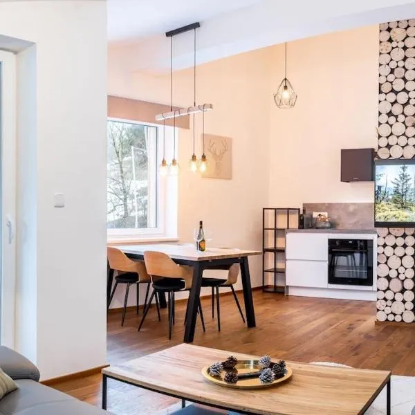 Apartmán pod Kněžickým vrchem, hotel in Vrchlabí