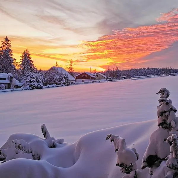 Landpension Pferdekoppel - B&B - Self Checkin, hotel en Seewald