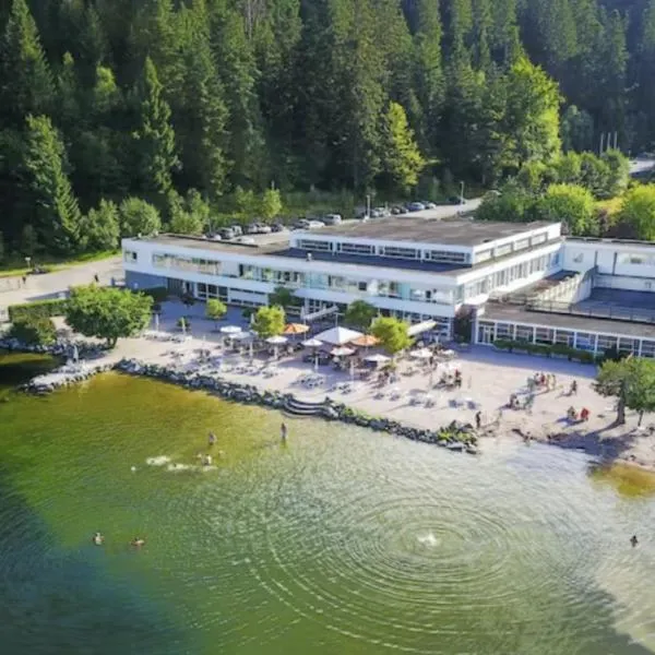 Appart'Hôtel LIDO au bord de l'eau, hotel v destinaci Gérardmer