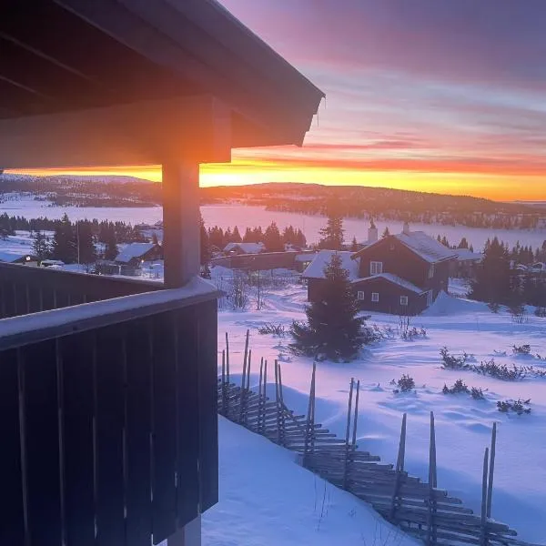 Apartment Sjusjøen, hotel i Sjusjøen