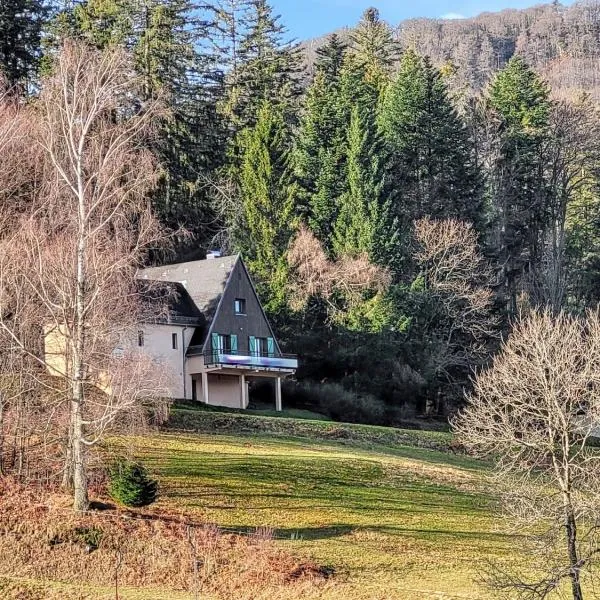 Chalet douillet avec vue panoramique à Kruth, hotel em Kruth