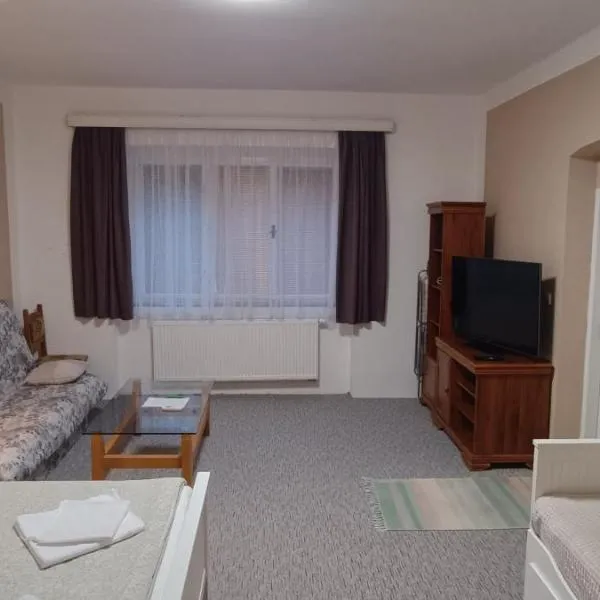 Apartmán Horní Slavkov Hodinářství, hotel v Horním Slavkově