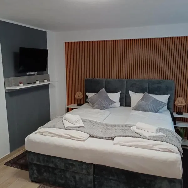 Hotel Ari, hotel en Kaiserslautern