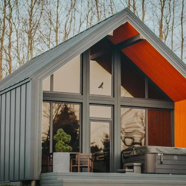 Sniegi design cabin with included sauna and jacuzzi, hotel a Madona