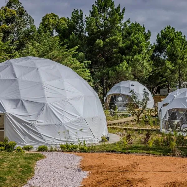 푼타델에스테에 위치한 호텔 Hotel La Perla Domos