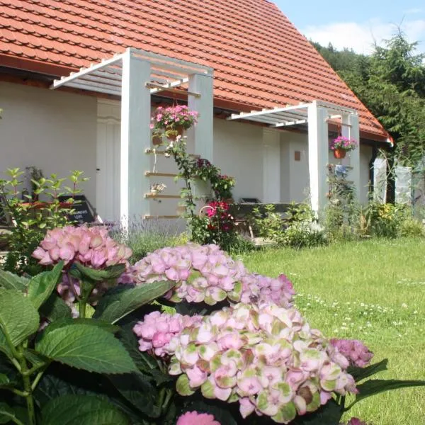Przystanek Dzika Dolina, hotel in Lądek-Zdrój
