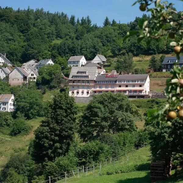 Hôtel Restaurant Roess, hotel en Hohrod