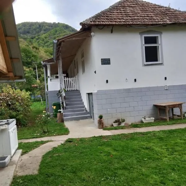Seosko turisticko domacinstvo Milanovic, hotel in Žuč