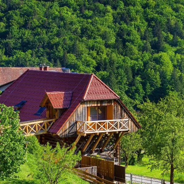 Farm Stay Pirc - Hayloft Apartment, hotel i Laško