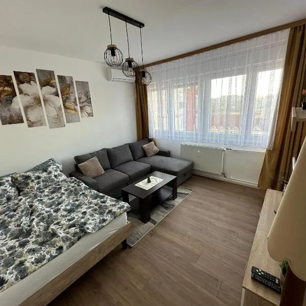 Studio apartman Barbara, hotel v destinaci Virovitica