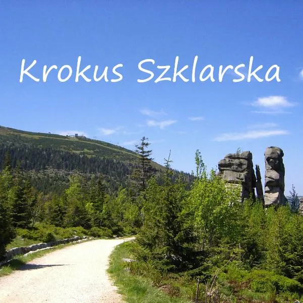 Apartament Krokus Szklarska、シュクラルスカ・ポレンバのホテル