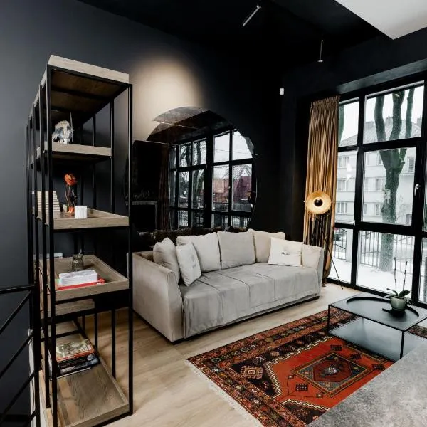 Stylish apartment, loft number 7 with office space and free private parking, hotel a Kaunas