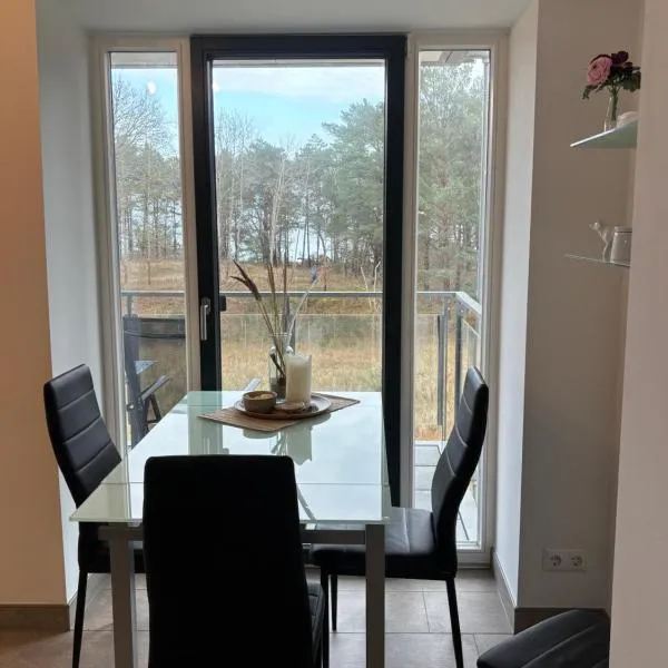 Haubentaucher mit Meerblick, hotel v destinaci Binz