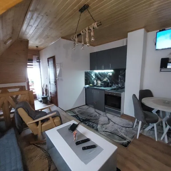 Vila MINA LUX，卡路耶斯科巴雷的飯店