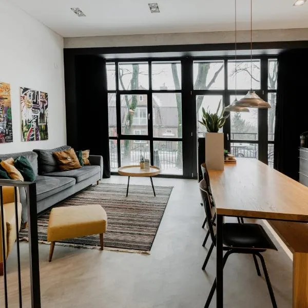 Modern and spacious loft type apartment 8 with free private parking by "Owl Jazz Apartments", hotel v destinaci Kaunas