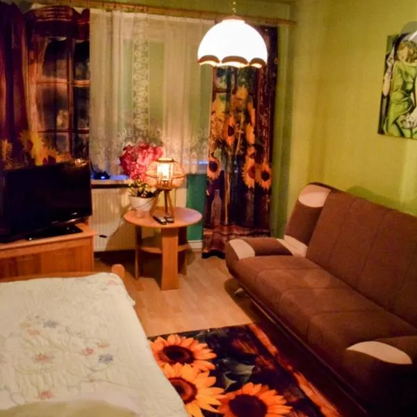Salt Mine Apartment Bochnia by OTH, hotel v destinaci Bochnia