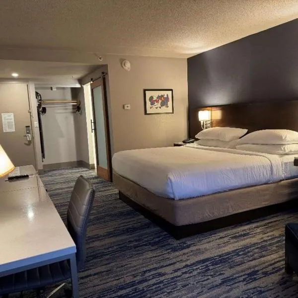 Skyline Hotel Detroit Airport, SureStay Collection by Best Western, hotel in Romulus