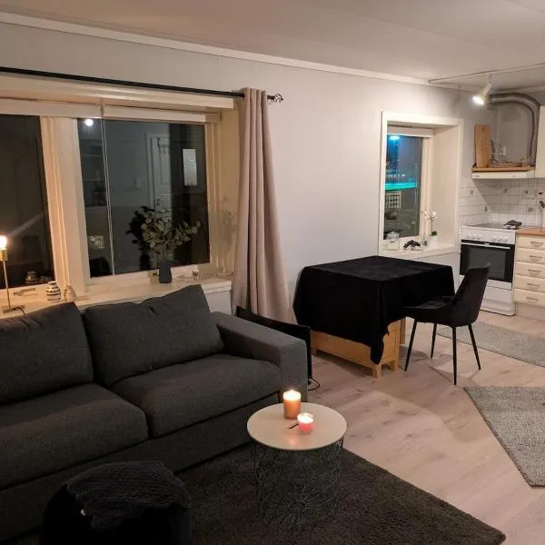 Nice apartment close to City Centre, hotel en Bergen