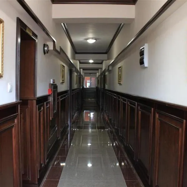 Pensiunea ORIENT, hotel in Brăila