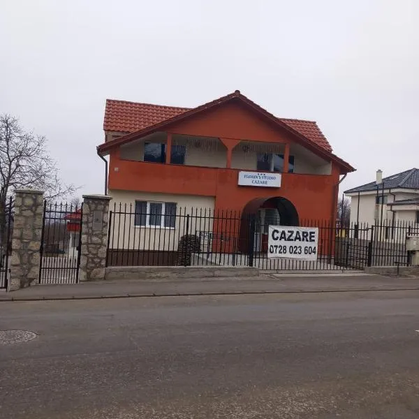 Florin'S Studio, hotel v destinaci Kluž