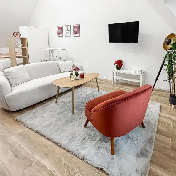 Élégant cocon au cœur de Montargis, hotel v destinácii Montargis
