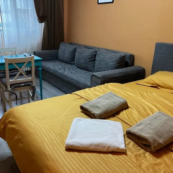 Berki home, hotel en Arad