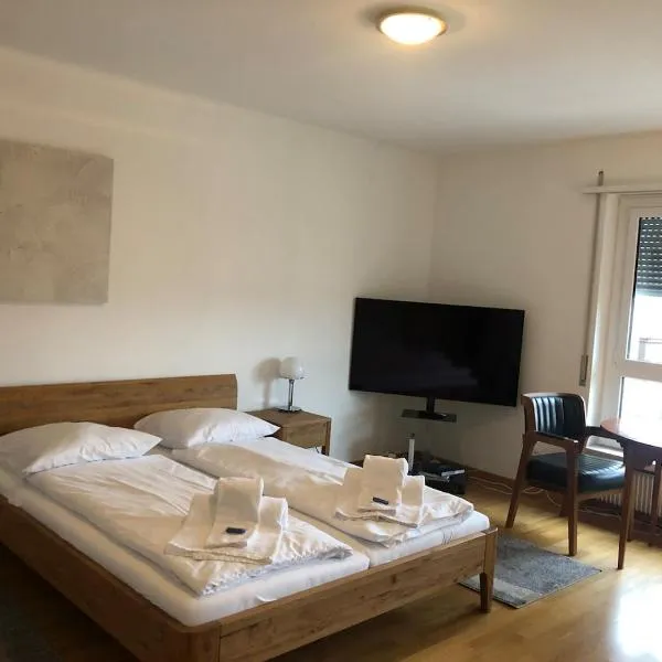 Big studio city center - Marble 5, hotelli kohteessa Zürich