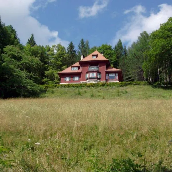 Villa Tadina Ferienwohnungen Mariazell, hotel in Mariazell