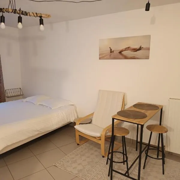Studio Villa'vi, hotel in Saint-Priest