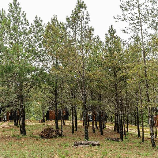 Chales Naturale - Campos do Jordão - CNA - Foto 5
