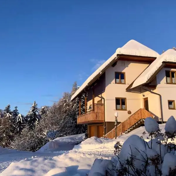Ferienwohnungen Berger im zweiten Stock, hotel di Murau