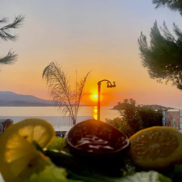 Hotel Villa Adrian, hotel u gradu 'Ksamil'