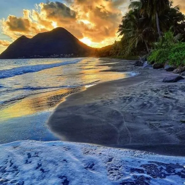 Abricotier à cinq minutes des plages, hotel v destinaci Rivière-Pilote