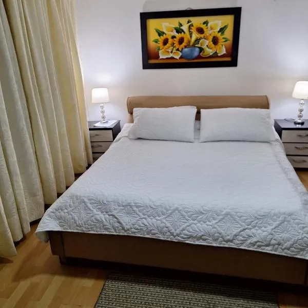 HOTEL GALICIA PLAZA, hotel in Manizales