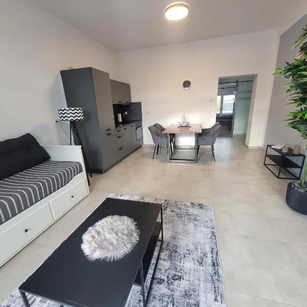 Ferienwohnungen Villa Ventil, hotel en Feldberg