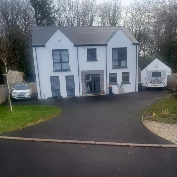Forest house, hotel in Mill Loughan