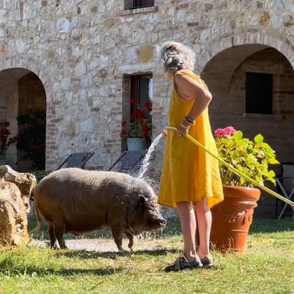 Agriturismo Sole – hotel w mieście Trequanda