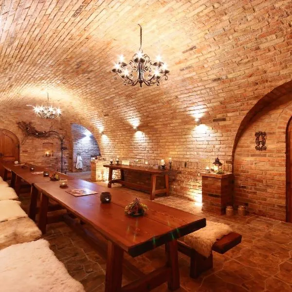 Penzion Vinařství Červinka, hotel in Horní Věstonice