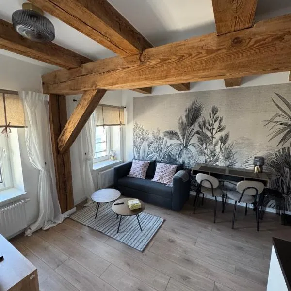 Apartament Centro 9, hotel v destinácii Leszno