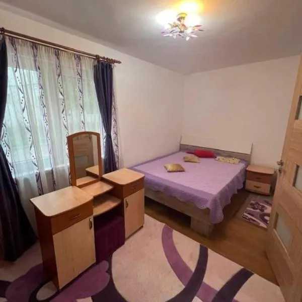 Apartament Florina, hotel en Brezoi